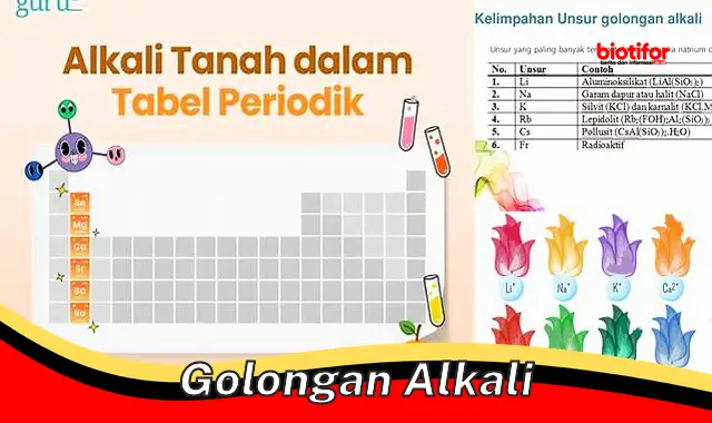 Mengenal Golongan Alkali: Unsur Reaktif yang Penting