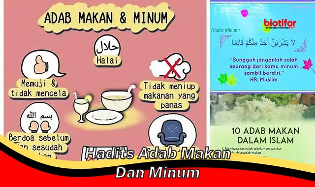 Panduan Hadis Adab Makan dan Minum: Tata Krama dan Manfaatnya