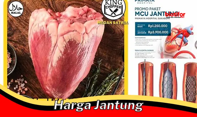 Rahasia Terungkap: Membongkar Harga Jantung