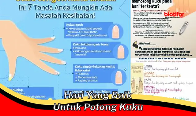 hari yang baik untuk potong kuku hari yang baik untuk potong kuku