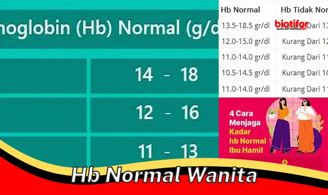 hb normal wanita hb normal wanita
