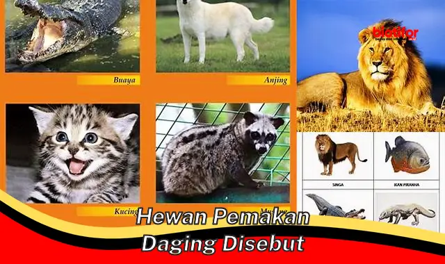 Penjelasan Lengkap: Hewan Pemakan Daging Disebut