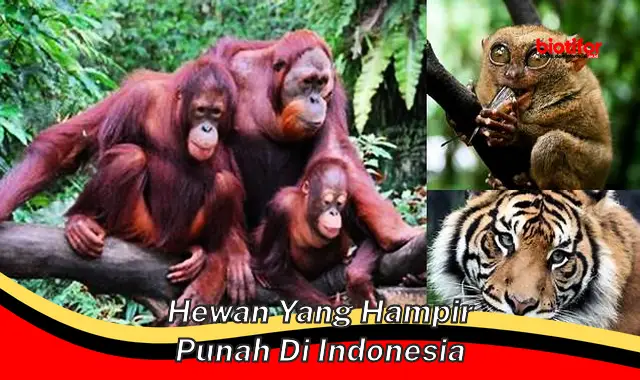 Hewan yang Nyaris Punah di Indonesia: Kenali dan Lindungi