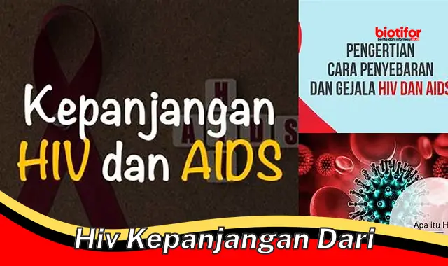 hiv kepanjangan dari hiv kepanjangan dari