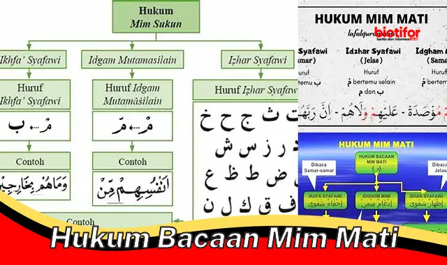 hukum bacaan mim mati hukum bacaan mim mati