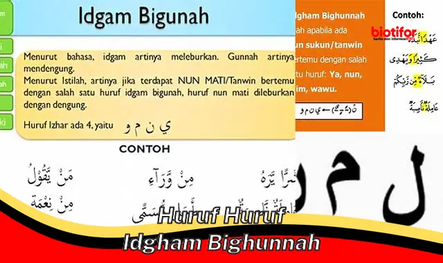 huruf huruf idgham bighunnah huruf huruf idgham bighunnah