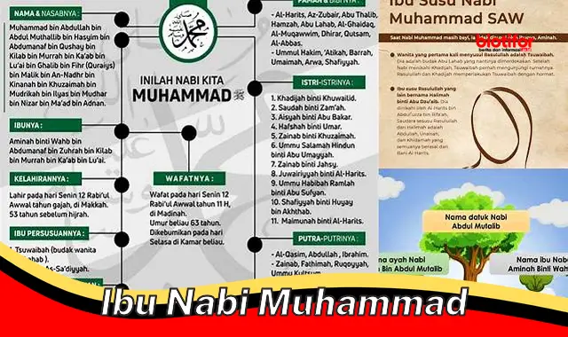 Mengenal Lebih Dekat Sosok Ibu dari Junjungan Kita Nabi Muhammad SAW