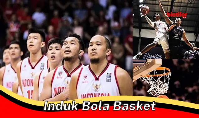 induk bola basket induk bola basket