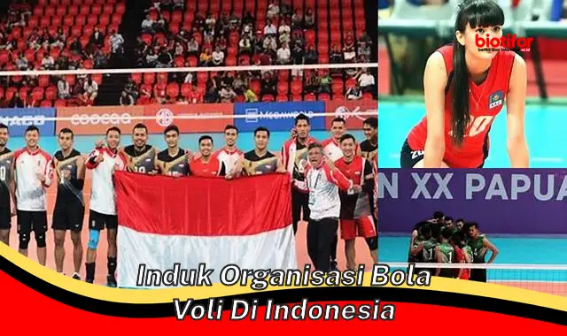 Induk Organisasi Bola Voli Resmi di Indonesia