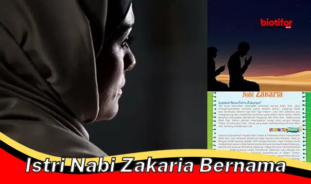 Rahasianya, Istri Nabi Zakaria Ternyata Bernama…