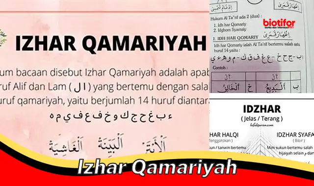izhar qamariyah izhar qamariyah