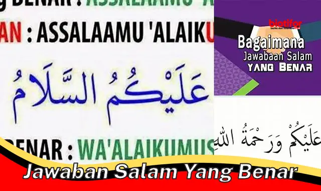 jawaban salam yang benar jawaban salam yang benar