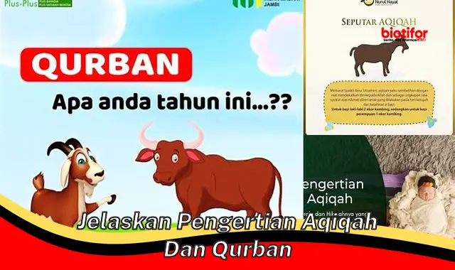 Pengertian Aqiqah dan Qurban: Panduan Lengkap untuk Muslim