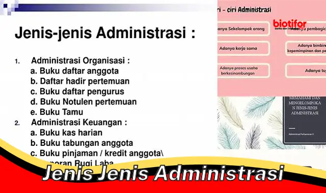 Panduan Lengkap Jenis-Jenis Administrasi yang Wajib Diketahui