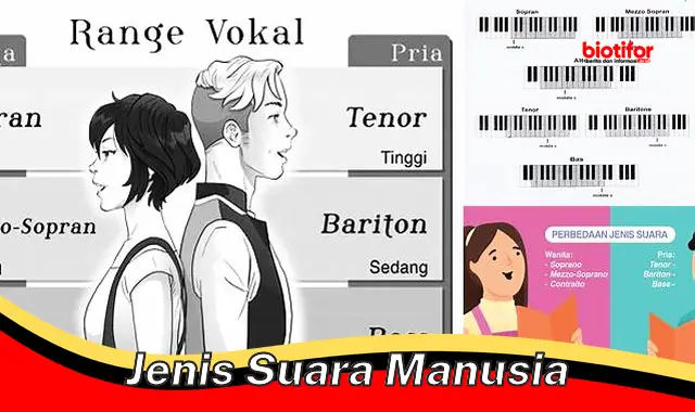 Jenis Suara Manusia: Panduan Lengkap untuk Beragam Vokal