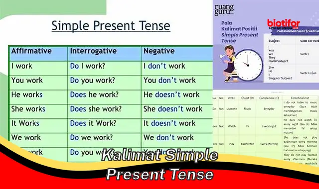 kalimat simple present tense kalimat simple present tense
