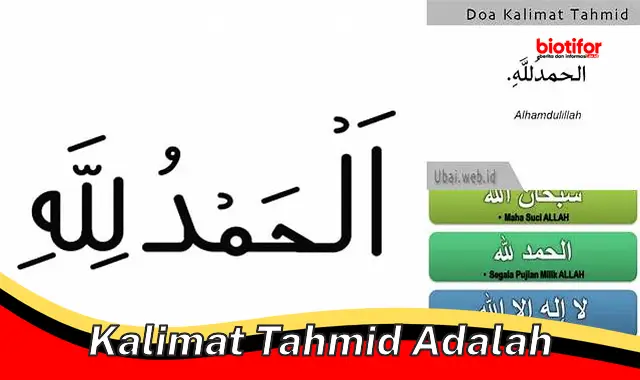 kalimat tahmid adalah kalimat tahmid adalah