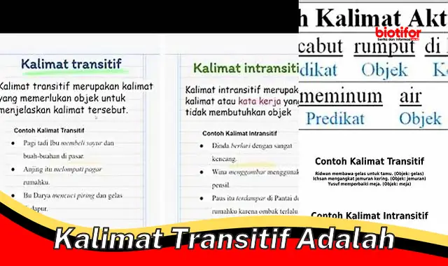 Pengertian dan Jenis-jenis Kalimat Transitif yang Benar