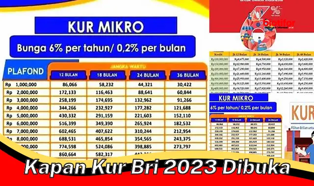 Catat Tanggalnya! KUR BRI 2023 Segera Dibuka, Ini Waktunya