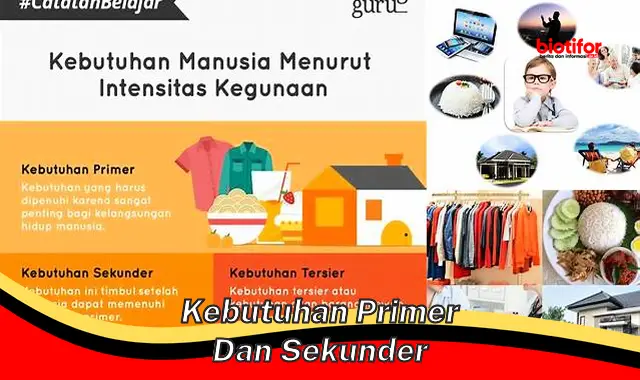 Pentingnya Kebutuhan Primer dan Sekunder untuk Kehidupan yang Sejahtera