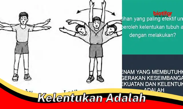 Pengertian Kelenturan: Aspek Penting untuk Kesehatan dan Kesejahteraan