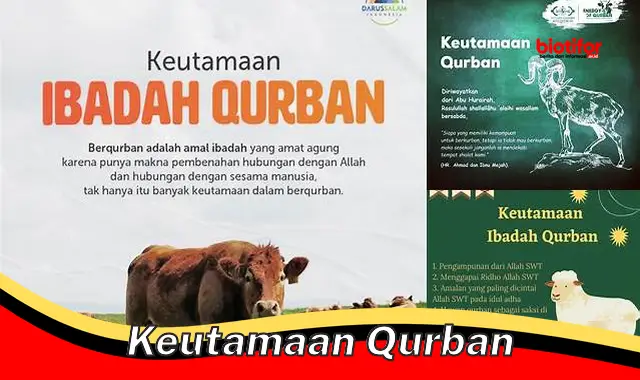 keutamaan qurban keutamaan qurban
