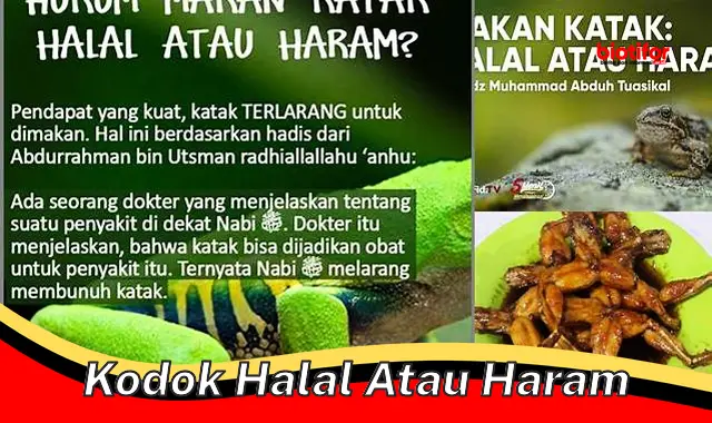 kodok halal atau haram kodok halal atau haram