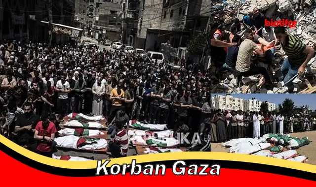 Korban Gaza: Tragedi Kemanusiaan yang Berkelanjutan