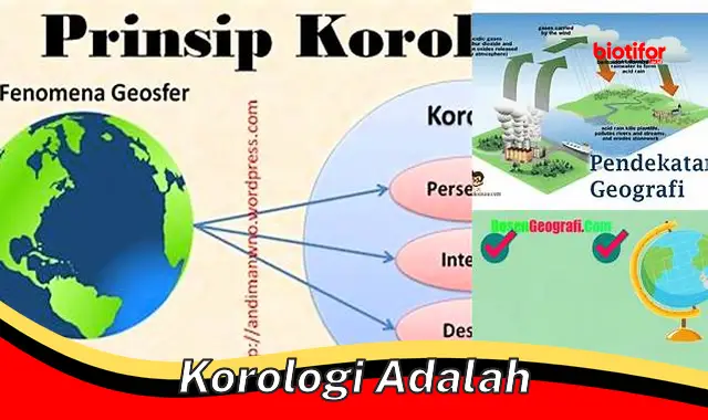 Memahami Korologi: Studi Distribusi Fenomena Geografis