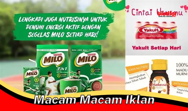 Beragam Jenis Iklan: Panduan Lengkap untuk Pemasar