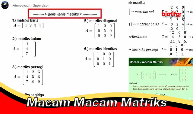 macam macam matriks macam macam matriks