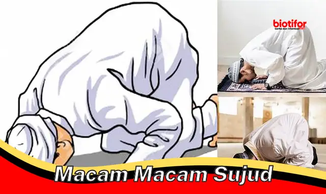 macam macam sujud macam macam sujud