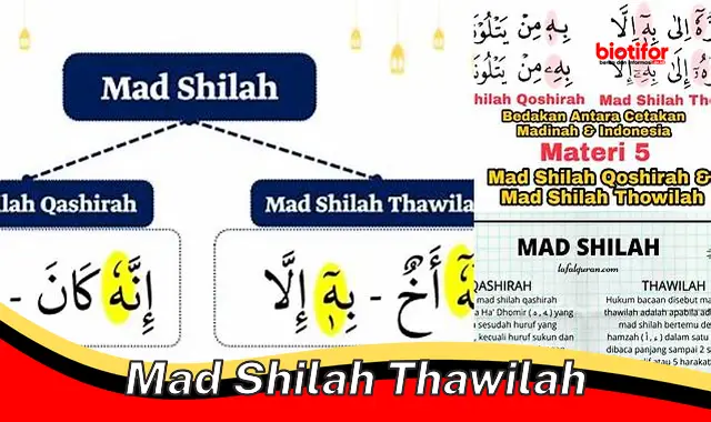 Madu Shilah Thawilah: Rahasia Sehat Alami dengan Bahan Herbal