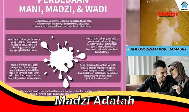 madzi adalah madzi adalah