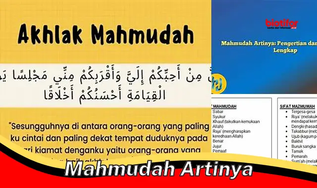 mahmudah artinya mahmudah artinya