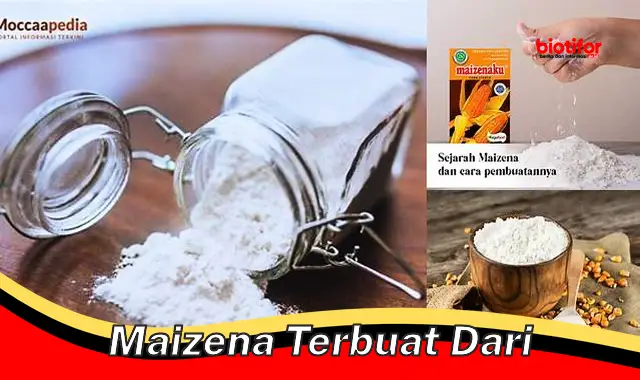 maizena terbuat dari maizena terbuat dari