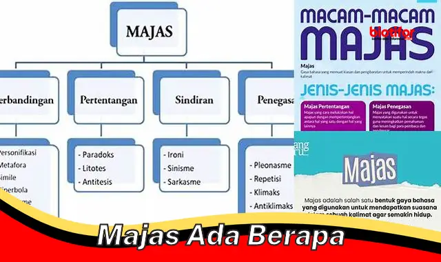 Jenis-Jenis Majas yang Perlu Diketahui Penulis