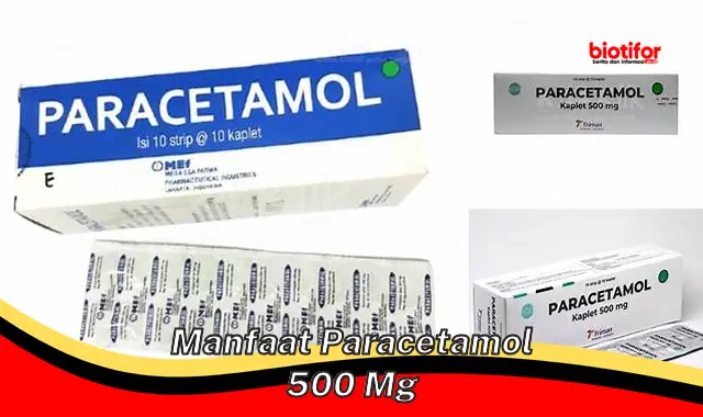 manfaat paracetamol 500 mg manfaat paracetamol 500 mg