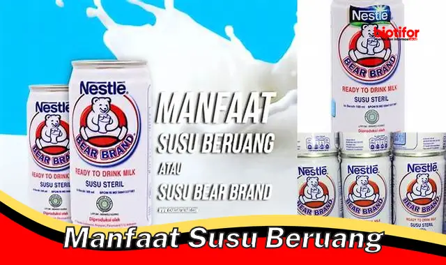 Khasiat Susu Beruang: Manfaat Tak Terduga untuk Kesehatan