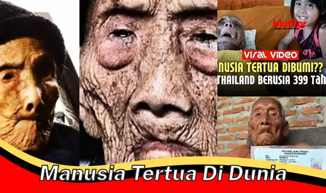 Rahasia Panjang Umur: Kisah Manusia Tertua di Dunia