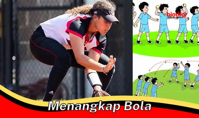 menangkap bola menangkap bola