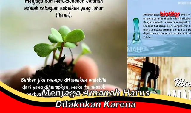 menjaga amanah harus dilakukan karena menjaga amanah harus dilakukan karena