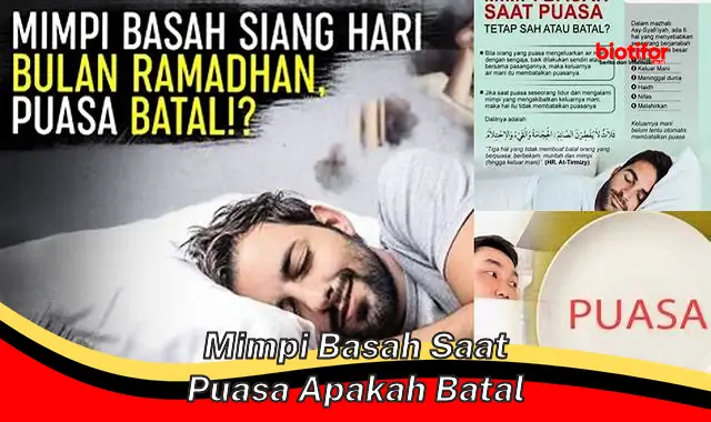 mimpi basah saat puasa apakah batal mimpi basah saat puasa apakah batal