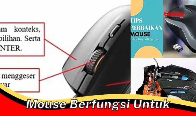 Pentingnya Mouse untuk Produktivitas dan Kenyamanan Berkomputer