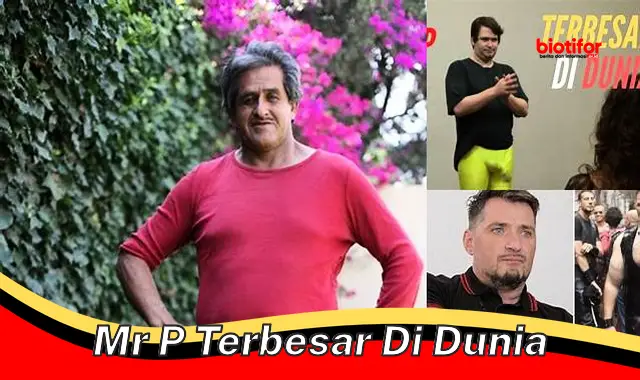 mr p terbesar di dunia mr p terbesar di dunia
