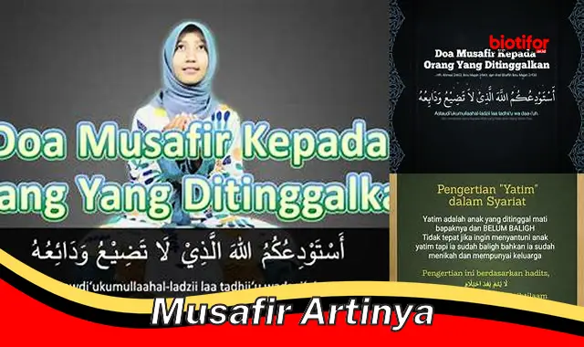 Arti Penting Seorang Musafir dalam Menjelajahi Dunia