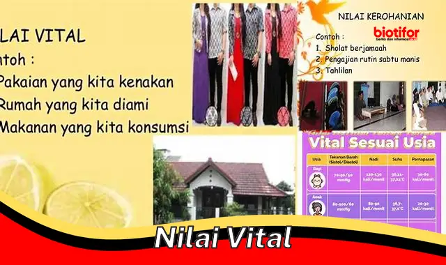 Nilai-Nilai Penting untuk Hidup Lebih Baik: Raih Nilai Vital Anda Sekarang!