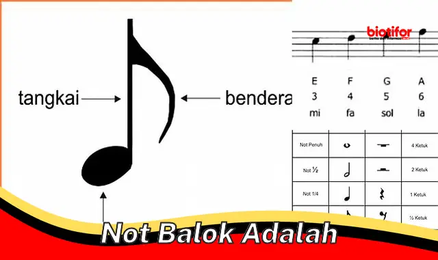 Pengertian Not Balok: Panduan Lengkap dari Bentuk, Bahan, dan Kegunaan