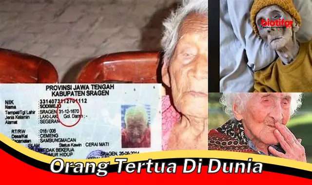 Rahasia Umur Panjang: Orang Tertua di Dunia Ungkap Tips Berharga