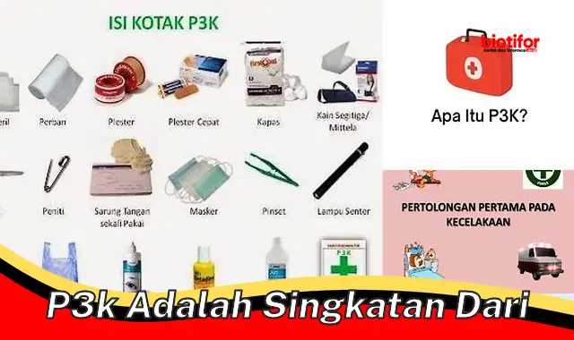 p3k adalah singkatan dari p3k adalah singkatan dari